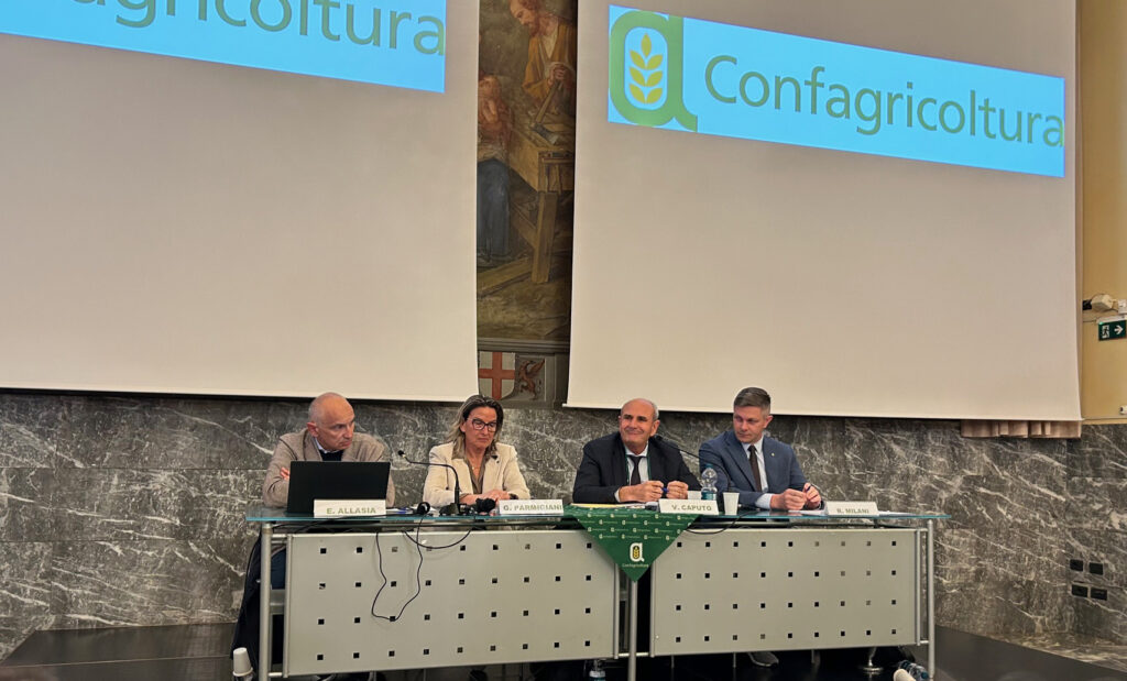 Allasia Parmigiani Caputo e Milani