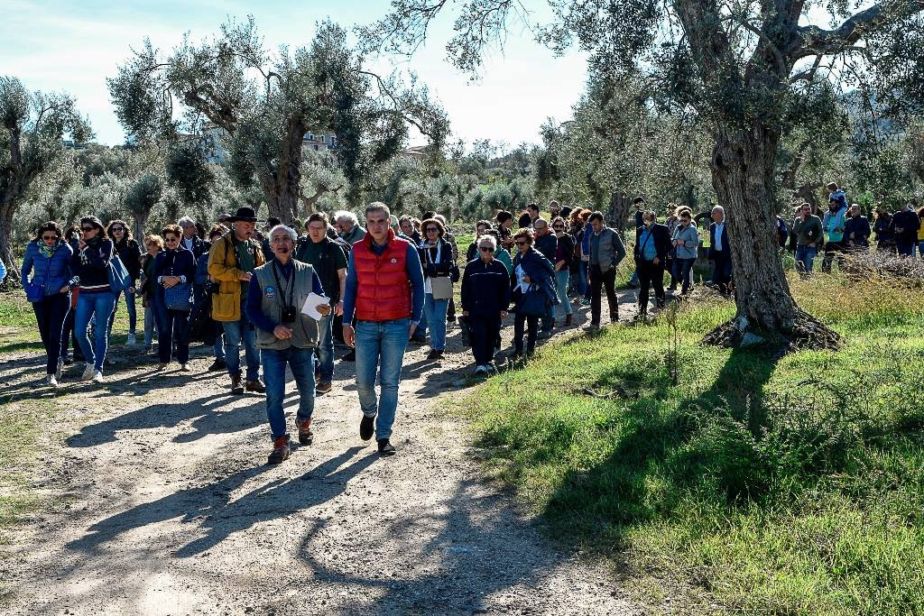 Turismo dell'olio