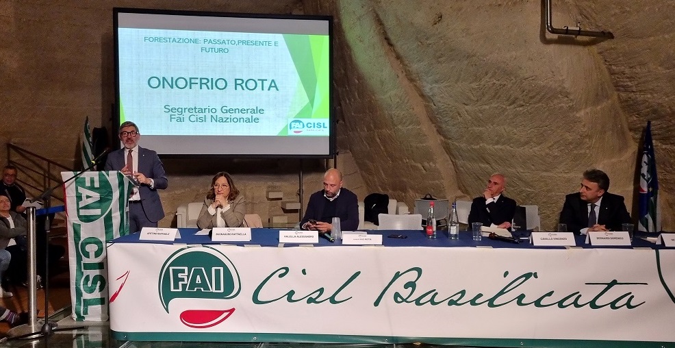 forestazione