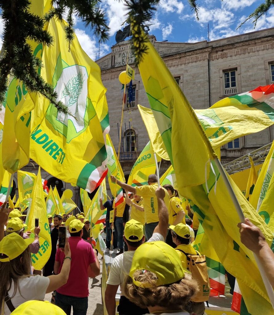 Mobilitazione in Umbria contro i cinghiali