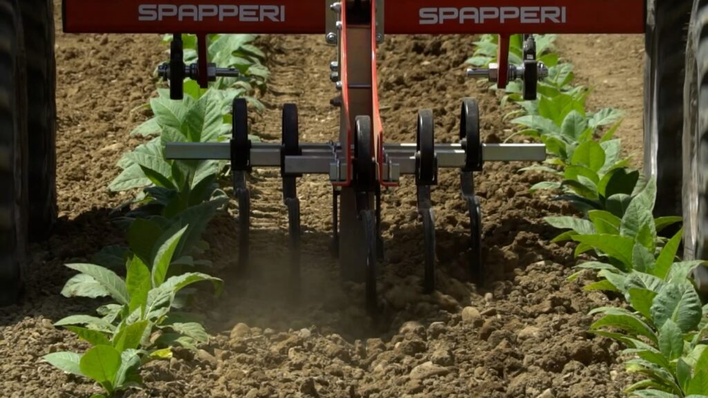 Tabacchicoltura programma Farmer