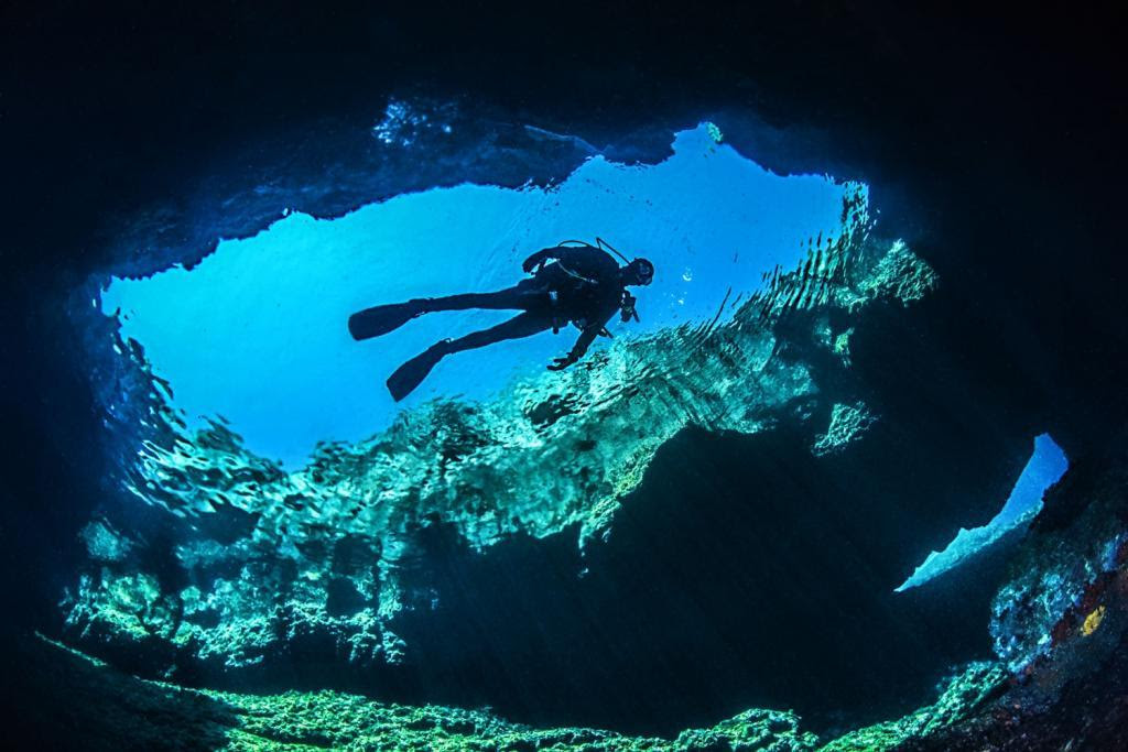 Diving Costa Toscana